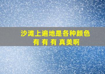 沙滩上遍地是各种颜色 有 有 有 真美啊